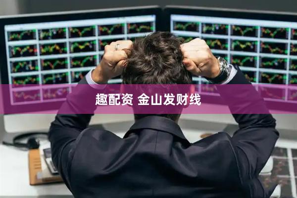 趣配资 金山发财线