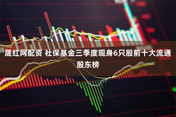晟红网配资 社保基金三季度现身6只股前十大流通股东榜