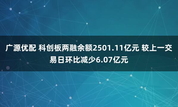 广源优配 科创板两融余额2501.11亿元 较上一交易日环比减少6.07亿元